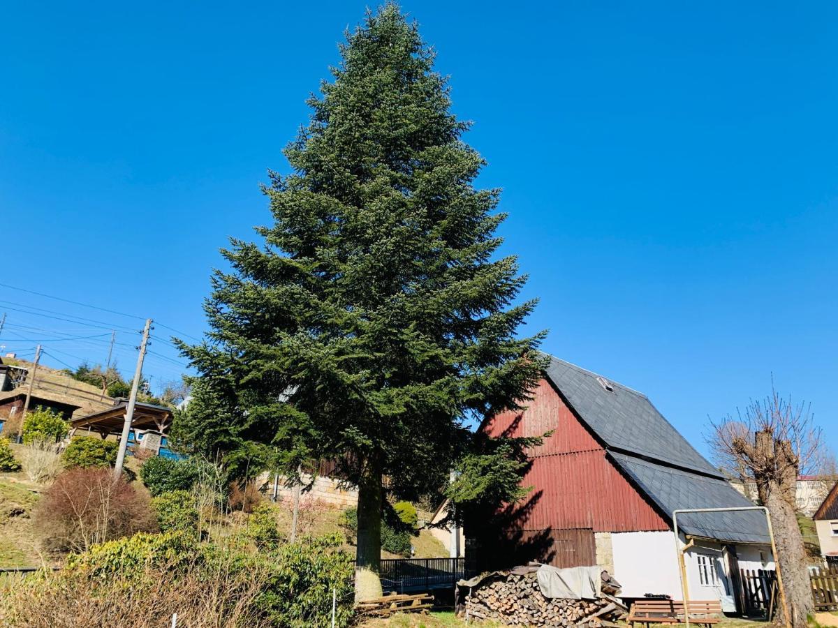 Naturhof Kluge Saupsdorf Exteriér fotografie