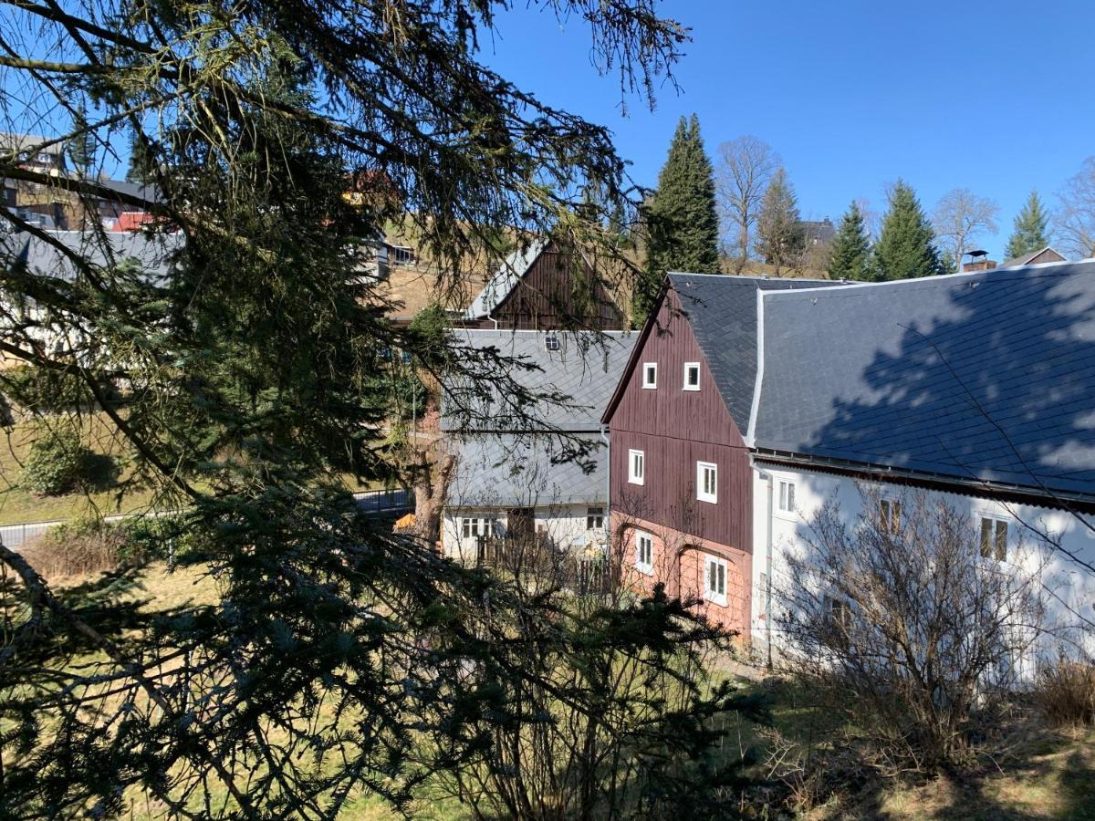 Naturhof Kluge Saupsdorf Exteriér fotografie
