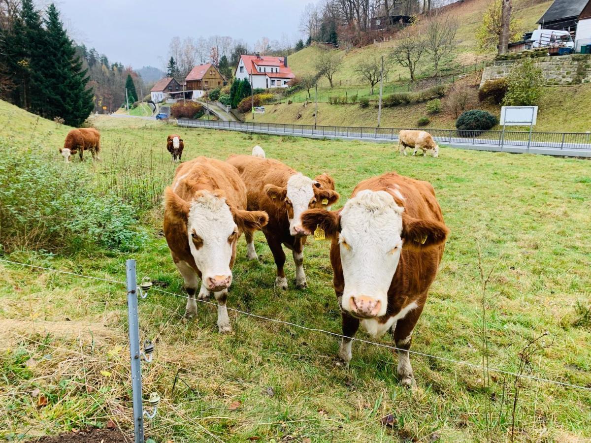 Naturhof Kluge Saupsdorf Exteriér fotografie