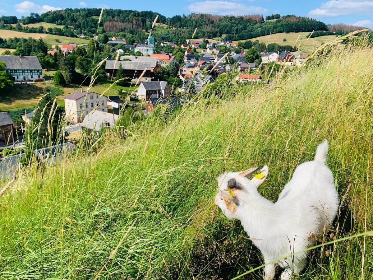 Naturhof Kluge Saupsdorf Exteriér fotografie